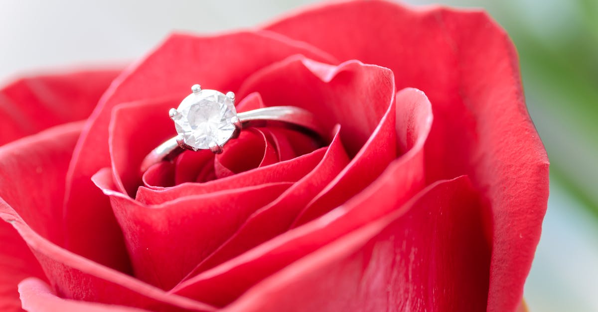 Silver Diamond Embed Ring on Red Rose